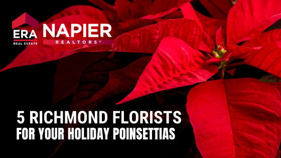 Richmond Poinsettias